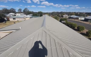 cv painting gray roof